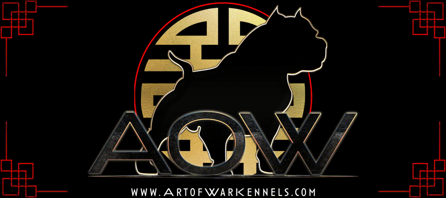 xl american bullies, exotic american bullies, xxl pitbulls for sale, bully breeders in florida