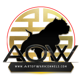 AOW XXL exotic xl bullies for sale ArtofWar Kennels
